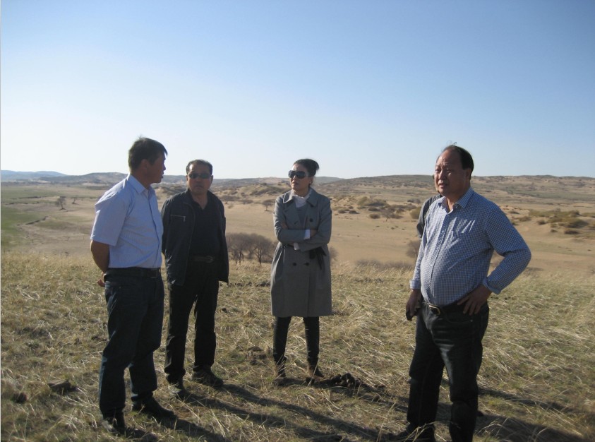 發(fā)揮資源優(yōu)勢(shì)，提高產(chǎn)業(yè)鏈競(jìng)爭(zhēng)力——協(xié)會(huì)為企業(yè)間的合作搭建平臺(tái)