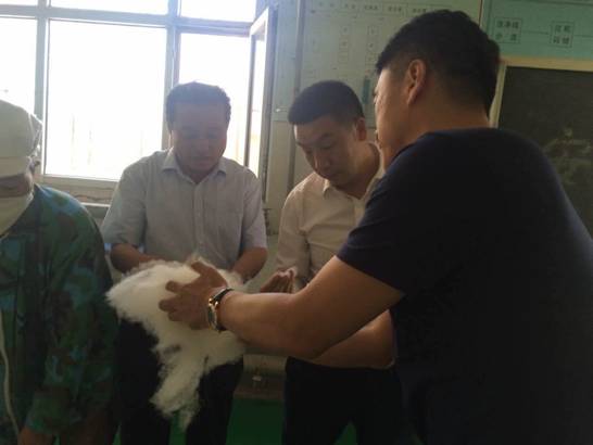 協(xié)會領導一行走訪企業(yè)開展調研活動