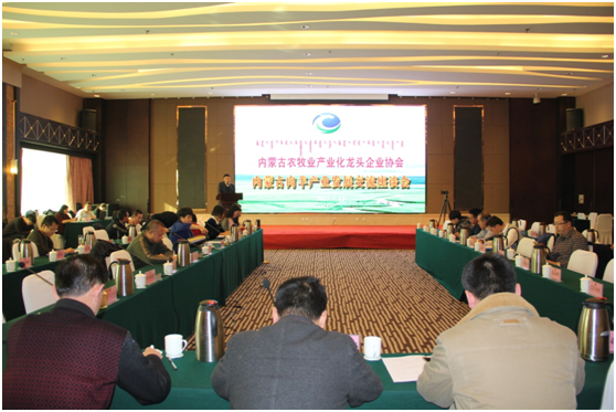 行業(yè)大咖齊聚青城  共話(huà)行業(yè)發(fā)展新篇章——內(nèi)蒙古肉羊產(chǎn)業(yè)發(fā)展交流座談會(huì)在呼舉行