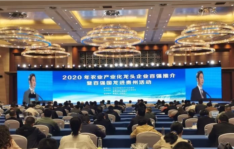 2020年農(nóng)業(yè)產(chǎn)業(yè)化龍頭企業(yè)百強(qiáng)名單發(fā)布協(xié)會(huì)副會(huì)長單位伊利集團(tuán)、蒙牛乳業(yè)等多家企業(yè)榜上有名！